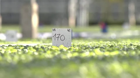 Horticulture01.mp4 Stock Footage 11248878