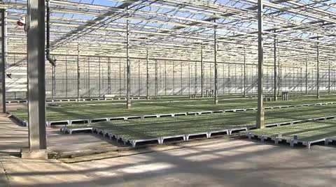Horticulture02.mp4 Stock Footage 11248688