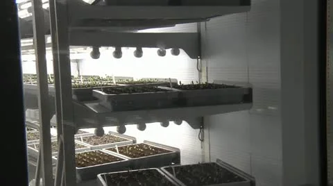 Horticulture06.mp4 Stock Footage 11248539