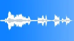 HOSE, GARDENSound Effect