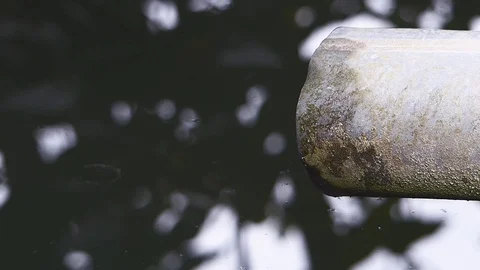 Hose over a laundry Stock Footage 75266092