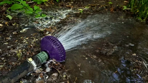 Hose Watering A Garden Stock Footage 335895093