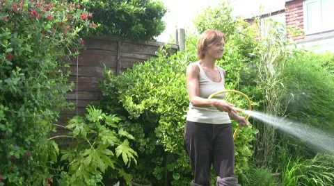 Hoseban Stock Footage 78261