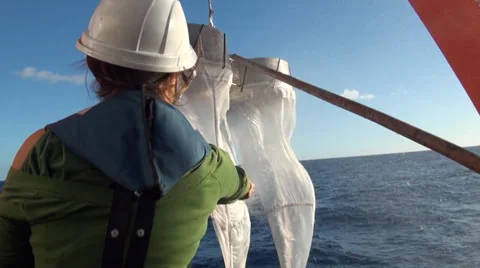 Hosing down the Bongo nets before bringing them aboard Stock Footage 36442952
