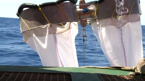 Hosing down the Bongo nets before bringing them aboard Stock Footage 36445633