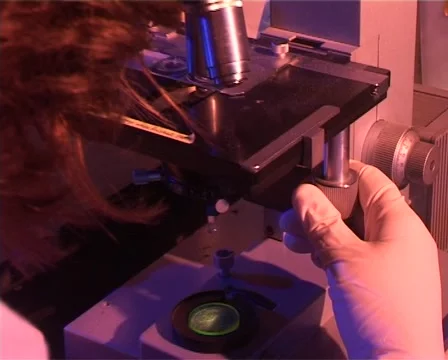 Hospital Lab Work Stock Footage 49215925