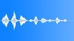 Hospital pa voice Sound Effect