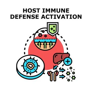 Host immune defense activation protecting human body system Stock Illustration