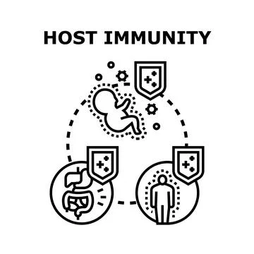 Host immunity protecting human organism and fetus Stock Illustration