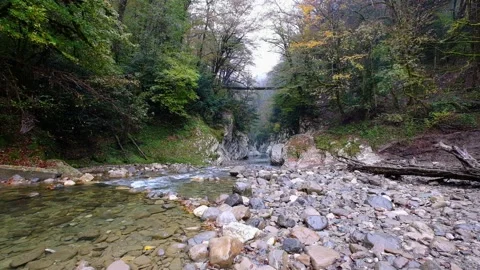 Hosta river and suspension bridge over Yew boxwood grove, gorge of devil gate, Video stock 166105451