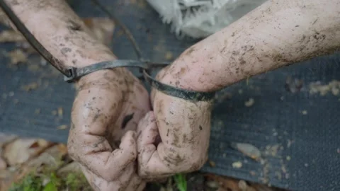 Hostage man tied up with zip ties being interrogated in the forest Stock Footage 320151260