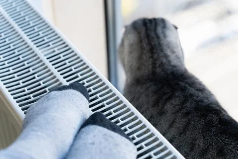 The hostess with her pet - a cat - basks near the heating radiator in cold Stock Photos