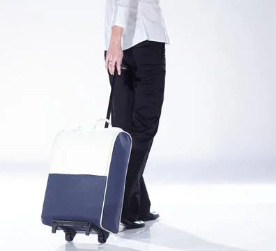 Hostess with a suitcase. Stock Photos