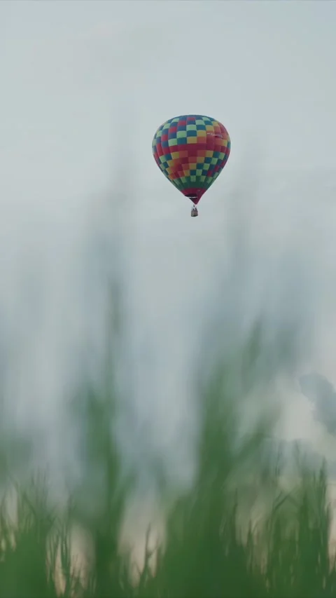 Hot air balloon checkered pattern floating steadily through soft light with tall Stock Footage 348252833