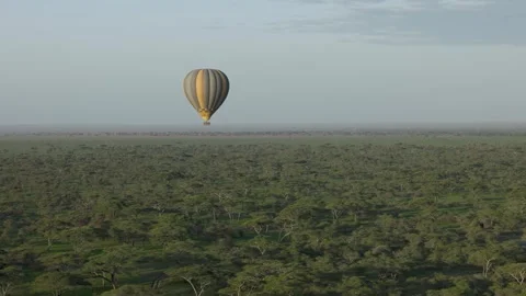 Hot Air Balloon Flight view over Great Migration at Ndutu, Serengeti, Tanzania Vidéo 330409027