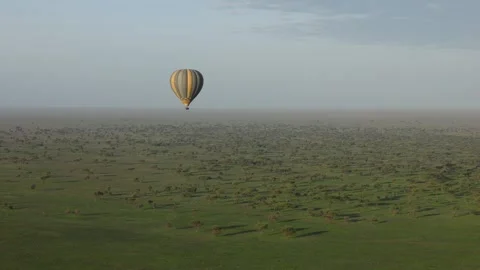 Hot Air Balloon Flight view over Great Migration at Ndutu, Serengeti, Tanzania Vidéo 330409147