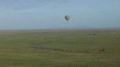 Hot Air Balloon Flight view over Great Migration at Ndutu, Serengeti, Tanzania Vidéo 330409576