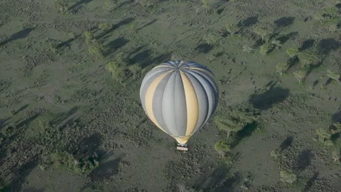 Hot Air Balloon Flight view over Great Migration at Ndutu, Serengeti, Tanzania 库存影片 330424103
