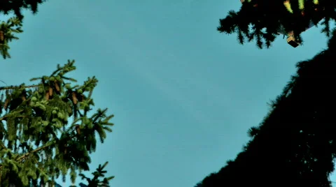 Hot air balloon Stock Footage 788911