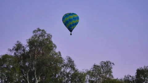 Hot Air Balloon going behind tree Stock Footage 346412260
