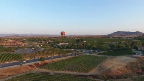 Hot air Balloon hovering over vineyards Stock Footage 138179769