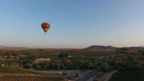 Hot air balloon hovering over vineyards Stock Footage