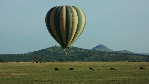Hot air balloon through a cloudless sky over a running herd Video stock 113732549