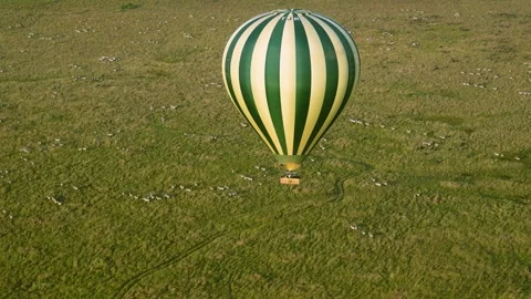 Hot Air Balloon View Over Zebra Herds on Maasai Mara Savanna Kenya. Stock Footage 320730727