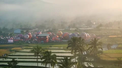 Hot Air Balloons Preparing for Takeoff at Sunrise Over Rice Fields Video stock 335667830