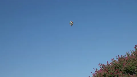 Hot air baloon floating up with trees in foreground Stock Footage 199871935