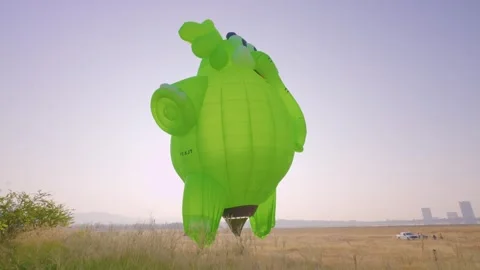 Hot Air Baloon in the shape of Elephant Stock Footage 321566393