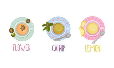 Hot aromatic tea set. Top view of teacup with flower, catnip, lemon tea vector Stock Illustration