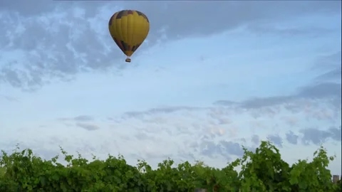 Hot balloons flying in the sky through the vineyards Stock Footage 144162584