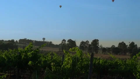Hot balloons flying in the sky through the vineyards Stock Footage 144162632