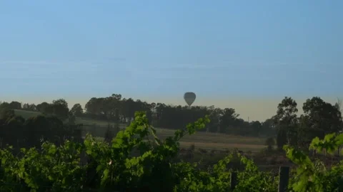 Hot balloons flying in the sky through the vineyards Stock Footage 144163411