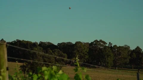 Hot balloons flying in the sky through the vineyards Stock Footage 144163724