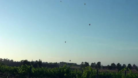 Hot balloons flying in the sky through the vineyards Stock Footage 144163780