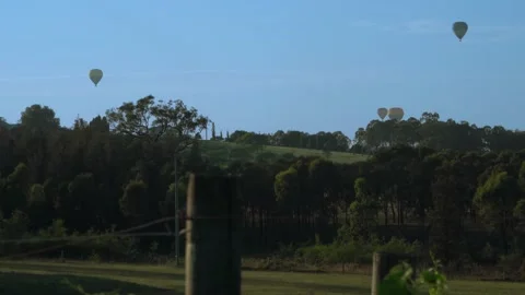 Hot balloons flying in the sky through the vineyards Video stock 144164314