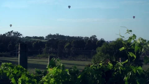 Hot balloons flying in the sky through the vineyards Video stock 144164795