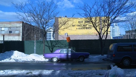 Hot bird brick wall in brooklyn vanderbilt avenue Stock Footage 87180325