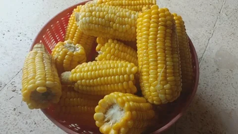 Hot boiled corn Stock Footage 280148091