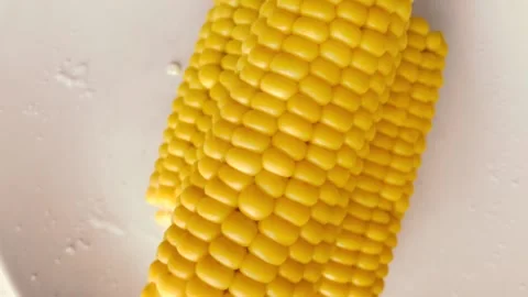 Hot, boiled corn sprinkled with salt. Stock Footage 134705624