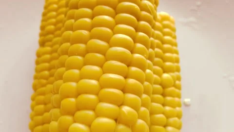 Hot, boiled corn sprinkled with salt. Stock Footage 134705707