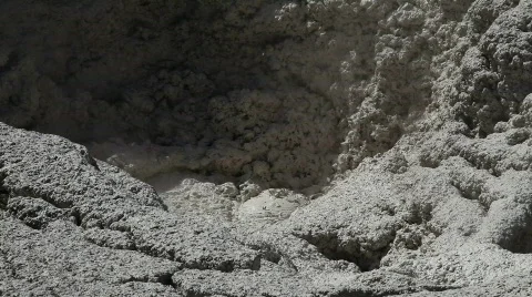 Hot Boiling Mud in Thermal Area at Yellowstone Stock Footage 530031