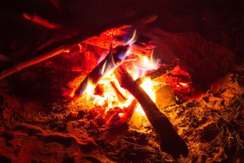 Hot bonfire of branches close-up Stock Photos