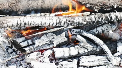 Hot burning charcoal Stock Footage 75825586