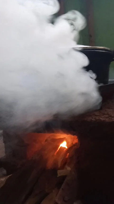 Hot cat 库存影片 203059056