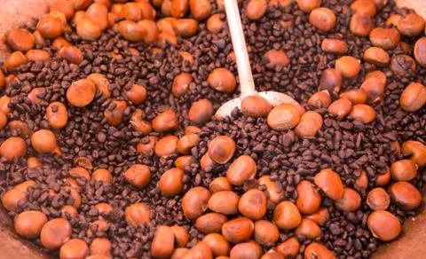 Hot chestnut Stock Photos