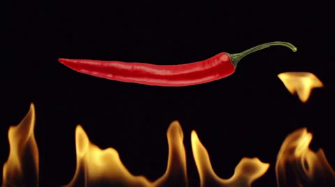 Hot Chili Stock Footage 37342096