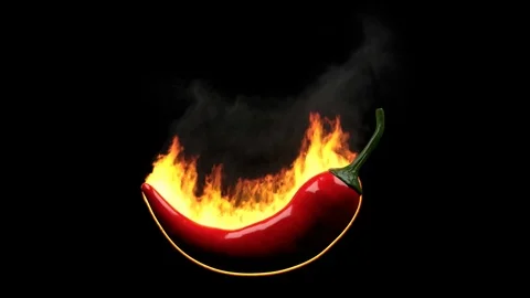 Hot chili pepper on fire Video stock 102049221